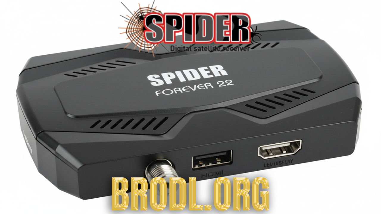 Spider Forever 22