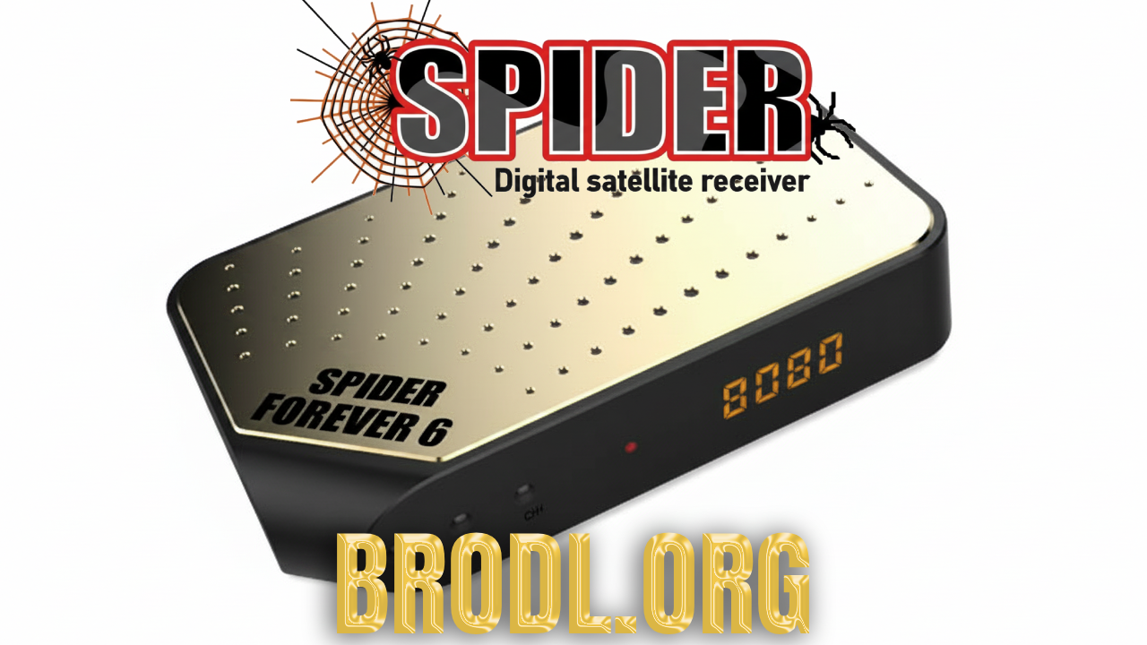 Spider Forever 6