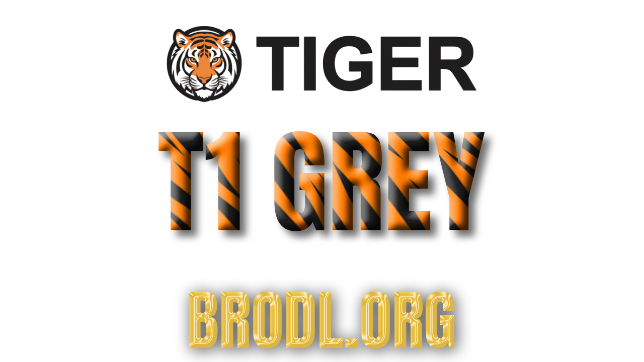 Tiger T1 Grey image