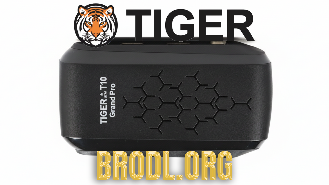 Tiger T10 Grand Pro image