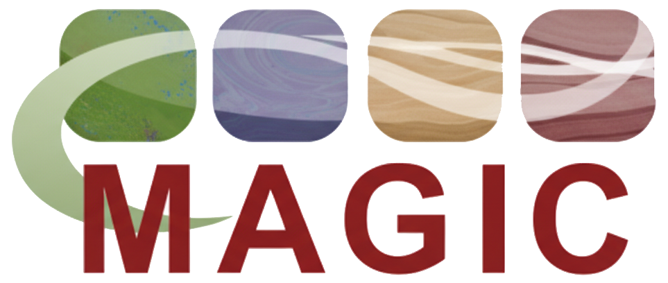 Magic logo